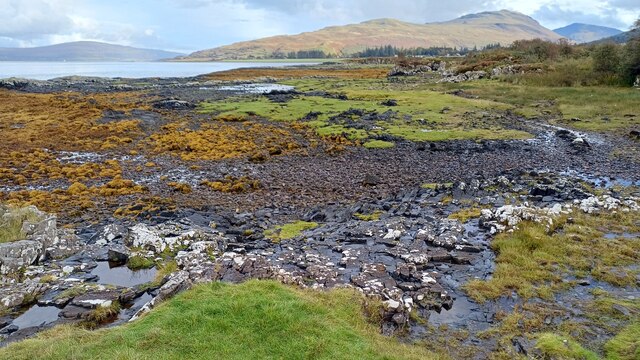 Shore below Salen Bay Campsite, Mull